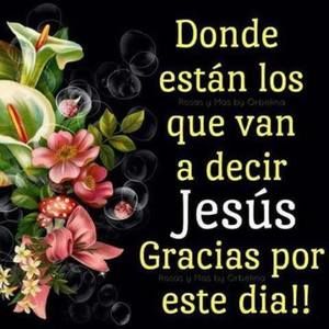 Meet your Posher, Ana maria